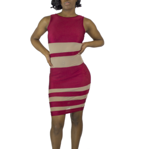 Bodycon Mesh Dress